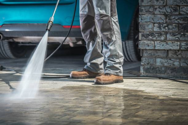 Best Dumpster Area Cleaning  in Alderwood Manor, WA